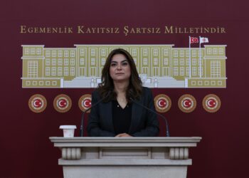 Gülistan Kılıç Koçyiğit: Barışın hukuka ihtiyacı var