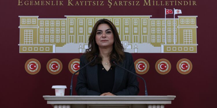Gülistan Kılıç Koçyiğit: Barışın hukuka ihtiyacı var