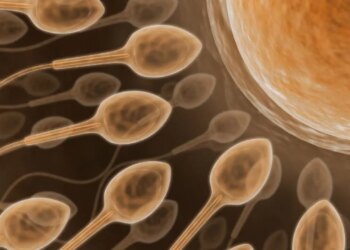Kısırlık tedavisinde yeni teknoloji! Yapay zekayla sperm bulunuyor