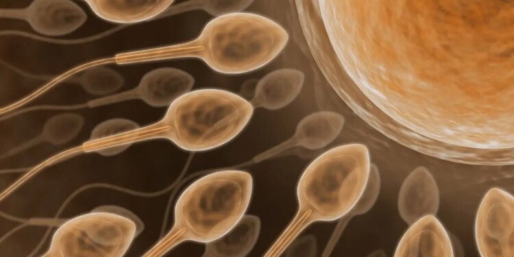 Kısırlık tedavisinde yeni teknoloji! Yapay zekayla sperm bulunuyor