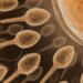 Kısırlık tedavisinde yeni teknoloji! Yapay zekayla sperm bulunuyor
