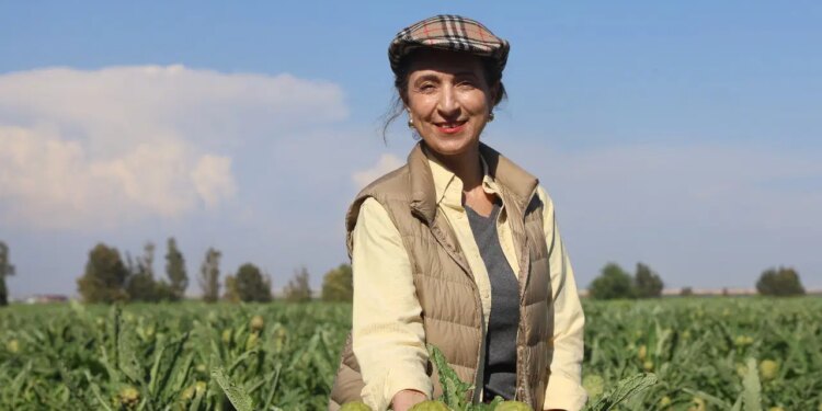 Amik Ovası’nda ezber bozan hasat: 5 dönümle başladı, şimdi yurtdışına gönderiyor