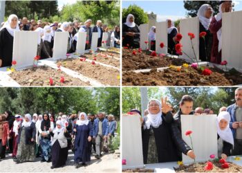 Nisêbîn’de özgürlük mücadelesinde yaşamını yitirenler anıldı