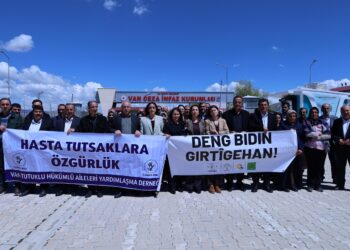 Tülay Hatimoğulları: Kayyımlar lağvedilmeli, seçilmişler göreve iade edilmeli