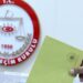 Dört ilde sandıklar kuruldu: Oy sayma işlemine geçildi