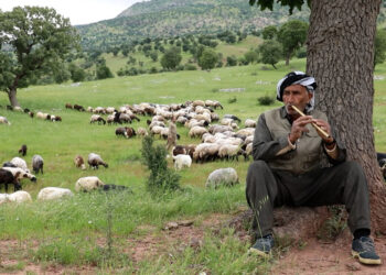 Binarê Qendîl’in kadim köyü: Elîreş