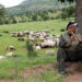 Binarê Qendîl’in kadim köyü: Elîreş