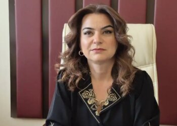 Koçyiğit: Hükümet ‘çerçeve yasa’ taslağını hazırlamalı ve kamuoyuyla paylaşmalı