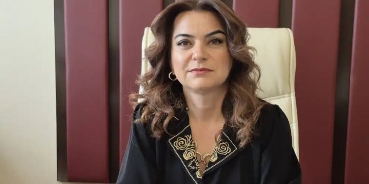 Koçyiğit: Hükümet ‘çerçeve yasa’ taslağını hazırlamalı ve kamuoyuyla paylaşmalı