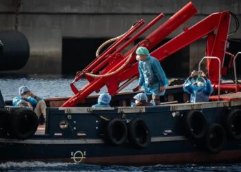 DSÖ açıkladı: Hantavirüs salgını sona ermek üzere