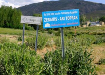 Wan’da kuduz vakası tespit edildi: Mahalle karantinaya alındı