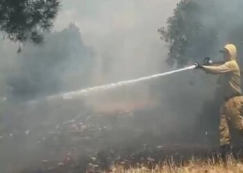 Nurdağı’da çıkan yangın 20 hektar meşelik alanı etkiledi