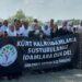 İran’daki idamlara tepki: Demokrasiye ve insanlık değerlerine yönelik saldırı