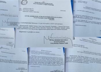 Kayyımdan Gürlek’in basın müşavirinin eşine kıyak: Önce memur yapıldı, ardından EPDK’ye atandı