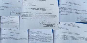 Kayyımdan Gürlek’in basın müşavirinin eşine kıyak: Önce memur yapıldı, ardından EPDK’ye atandı