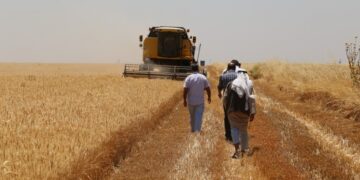 Kürdistan’da tefecilik ve çeteler: Çiftçiler topraklarını satıyor, fabrikalar batıyor