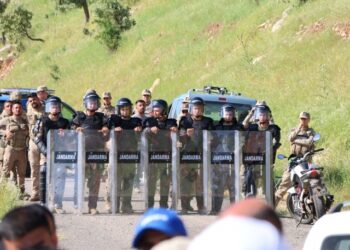 Ziwinga 32 yıldır köylüye yasak, Abdullah Öner’e serbest: Ağaçları kesip satıyor, meraları kiralıyor
