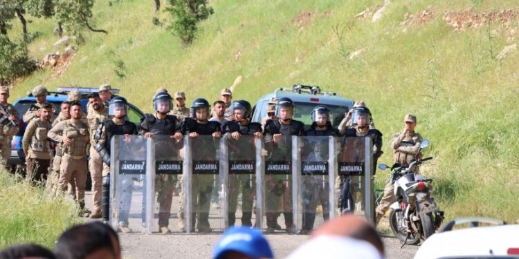 Ziwinga 32 yıldır köylüye yasak, Abdullah Öner’e serbest: Ağaçları kesip satıyor, meraları kiralıyor