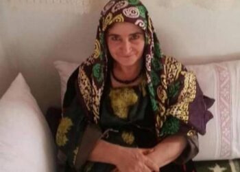 Sürmi İnce dosyası AİHM’e taşındı