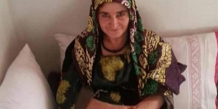 Sürmi İnce dosyası AİHM’e taşındı