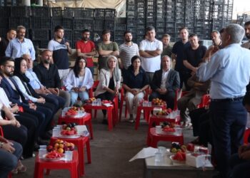 DBP Şirnex’te sahaya indi: Barışın sözünü halklarla kuruyoruz
