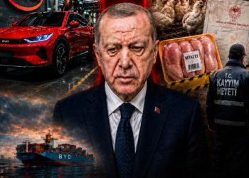 BYD gitti, tavuğa kayyım geldi | Parametre