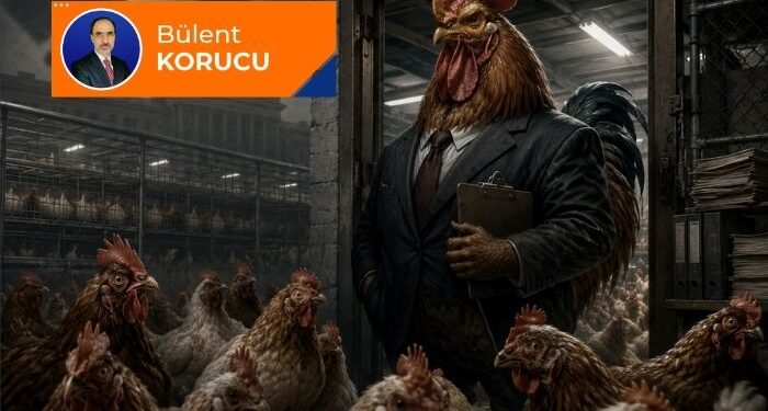 Bu da oldu; kümese horoz atandı!