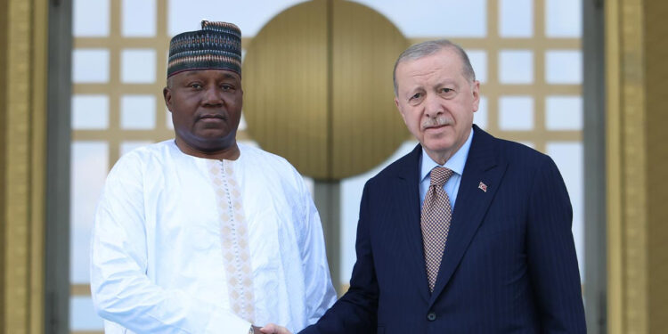 Cumhurbaşkanı Erdoğan'dan Nijer ile Dayanışma Mesajı: Kara Gün Dostuyuz