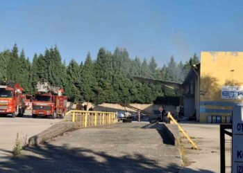 Fabrika Patlamasından Acı Haber, Yaşam Savaşını Kaybetti