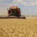 TR724 HABER