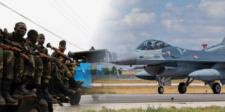 TSK ve Somali Ordusundan Ortak Operasyon: Eş-Şebab'a Ağır Darbe