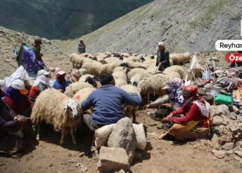 Bêrîvan kadınlar: Dağları var, hayalleri yok