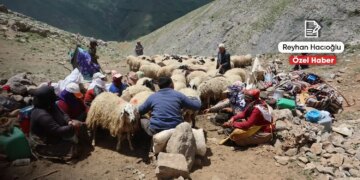 Bêrîvan kadınlar: Dağları var, hayalleri yok