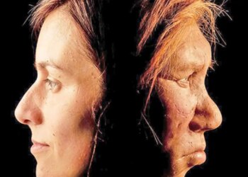 İnsanlığın kadim mirasında sinsi tehlike: Neandertal genleri modern virüslere karşı bizi savunmasız bırakıyor!