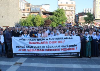 Amed’de İran’daki idamlar ve siyasi infazlar protesto edildi