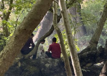 Zixir piknik alanı madde bağımlılarının yeri oldu
