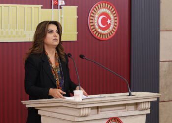 Koçyiğit: ‘Çerçeve yasa’ bir an önce Meclis’e gelmeli ve yasallaşmalı
