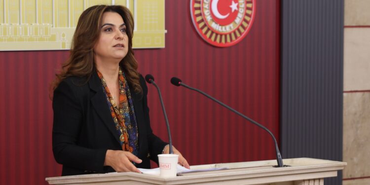 Koçyiğit: ‘Çerçeve yasa’ bir an önce Meclis’e gelmeli ve yasallaşmalı