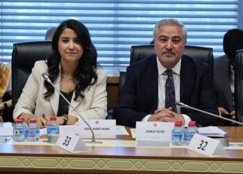Dilan Kunt Ayan, 12’nci Yargı Paketi’ne dair konuştu: İçerisinde hiçbir düzenleme yok