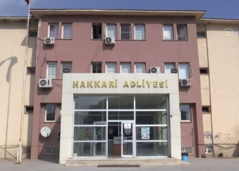 Colemêrg’de çocuğa şiddet: Muhtar tutuklandı, uzman çavuş serbest