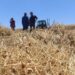 Yozgat’ta 225 bin dekarlık dev hasat başladı: Rekor rekolte…