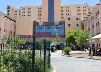 ‘Amed’de hastaneler artan nüfusa cevap veremiyor’