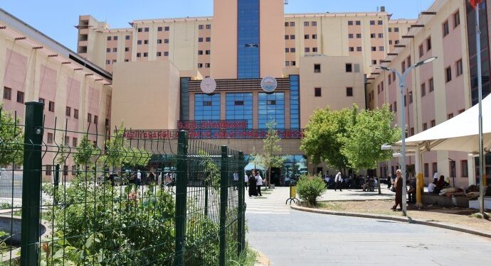 ‘Amed’de hastaneler artan nüfusa cevap veremiyor’