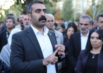 Doğan Hatun Amed Büyükşehir Belediyesi Eşbaşkanlık görevinden çekildi