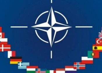 Fuat Ali Rıza NATO zirvesine ilişkin yazdı