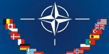 Fuat Ali Rıza NATO zirvesine ilişkin yazdı