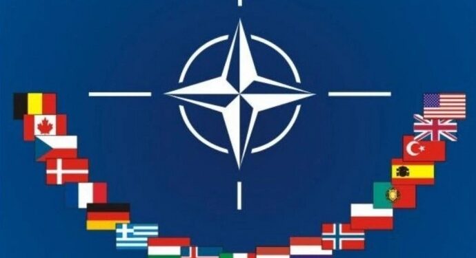 Fuat Ali Rıza NATO zirvesine ilişkin yazdı