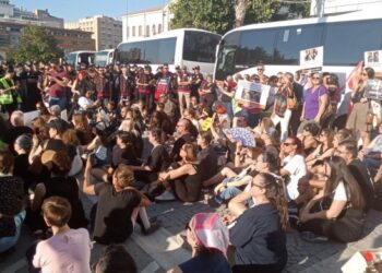 Sokak hayvanlarının toplatılmasına tepki: Onları nelerin beklediğini biliyoruz
