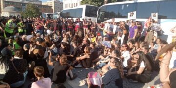 Sokak hayvanlarının toplatılmasına tepki: Onları nelerin beklediğini biliyoruz