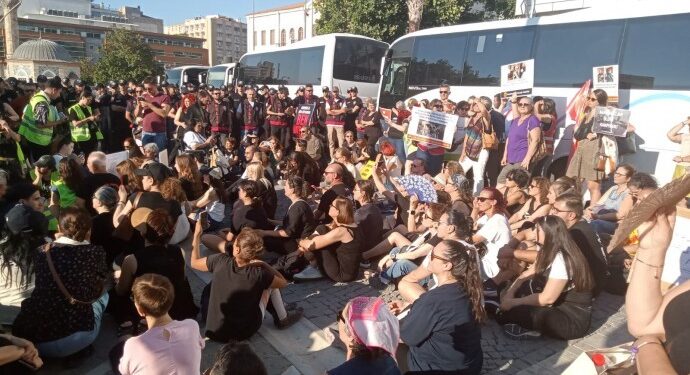 Sokak hayvanlarının toplatılmasına tepki: Onları nelerin beklediğini biliyoruz